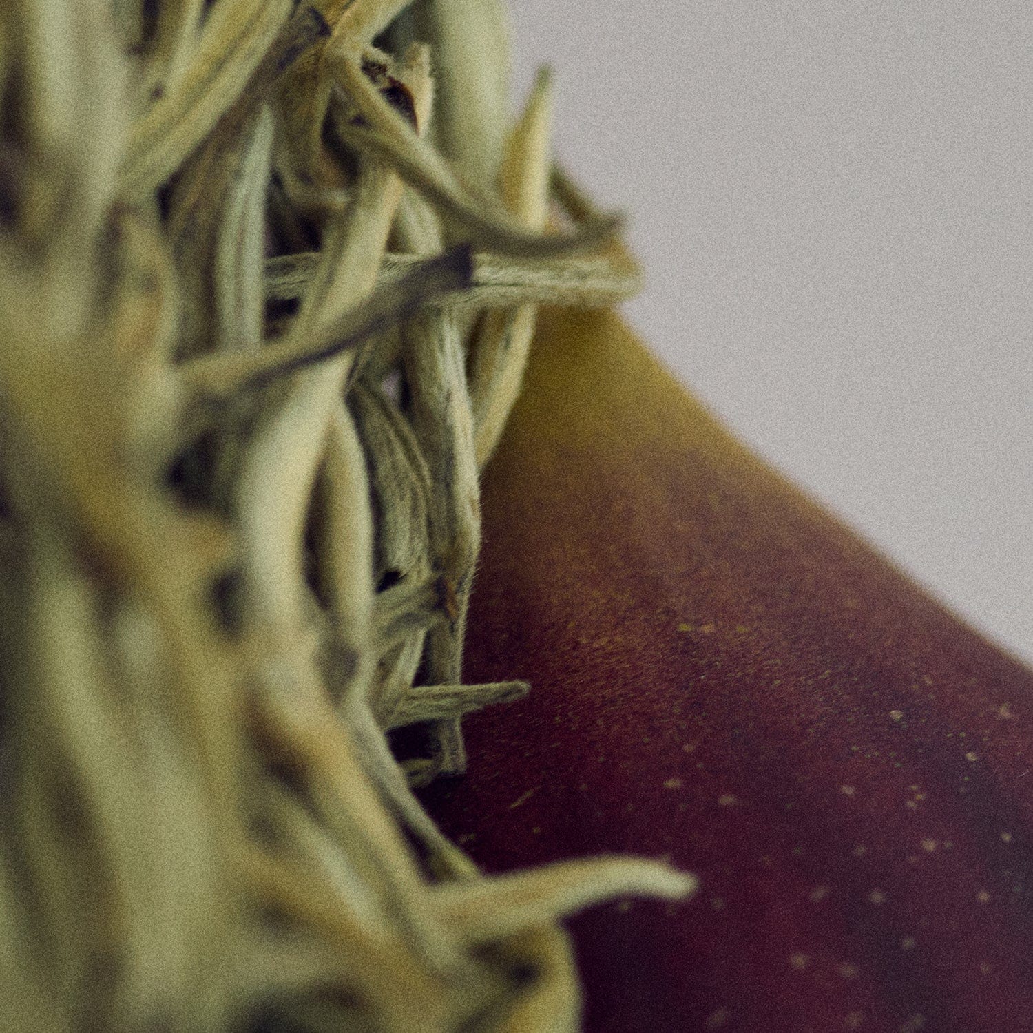 NONFICTION Parfum GENTLE NIGHT Eau de Parfum